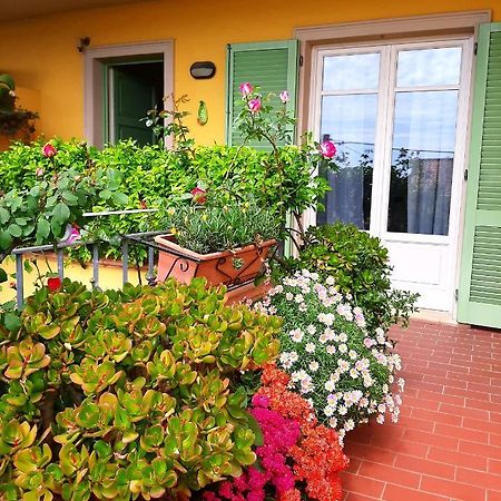 Casa Marta Panzió Massa Kültér fotó