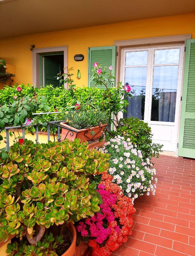 Casa Marta Panzió Massa Kültér fotó